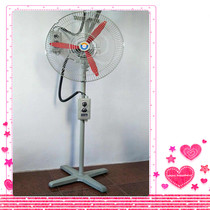 220 380 Factory industrial explosion-proof exhaust fan FB BTS-500 600 750 Floor moving head fan Wall fan