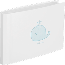 Text card Letdown Card Bagging of Protective Sleeves 80 Bags A Second Year Elementary School Students With Cards Album Recognition Characters Literacy Words Cards Bag Change Back Spine 7 Inch Album File Information Collection