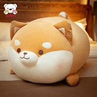 Толстая Шиба Ину