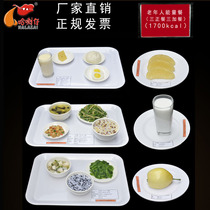 Balanced Diet for the Elderly Daily Energy Meal Model 1700Kcal Dietary Nutrition Guidance Simulation Food Customization