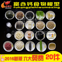 Calcium-rich food selection model diet guidance intervention health education diet nutrition guidance food model