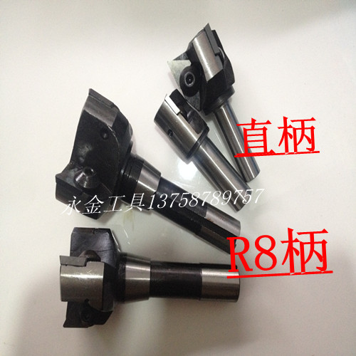 Indexable stand mill knife disc face milling cutter 30 36 40 50 63 63 80100 straight shank 20 R8 shank