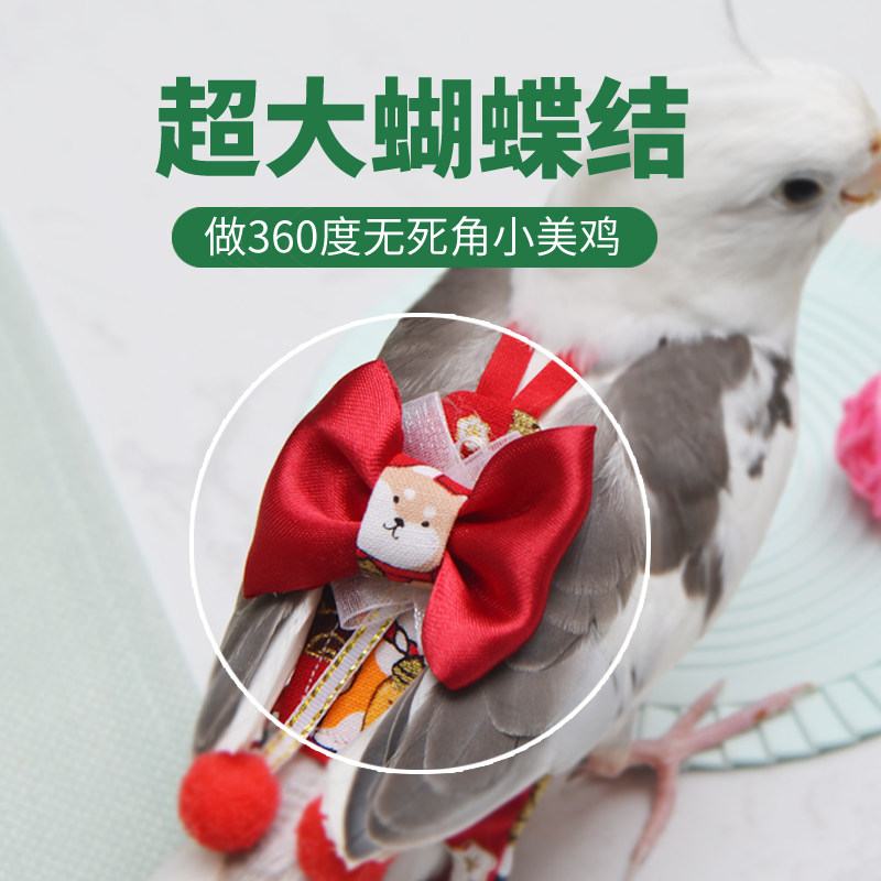 训犬裤马甲服背心如何选择？2026养狗新手必知的防抓训练装备