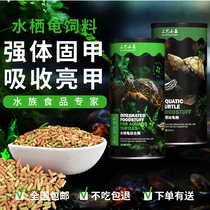 Three small fish Brazil tortoise yellow-headed side-necked turtle razor turtle yellow-headed feed water turtle half turtle feed pellets