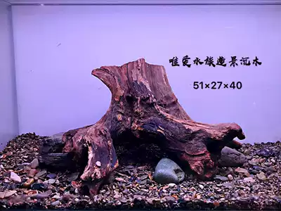Fish tank decoration rhododendron root sunken tree root landscape water banyan wood Moss tree tree real water grass branch tree head