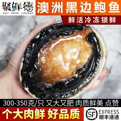 Australian Big Abalone Black Edge Abalone Fresh seafood Raw frozen Black gold Abalone Imported aquatic products 300g350g SF