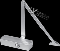 ASSA ABLOY SHENFEI God fly BG DM4003 door closer type door KFC door