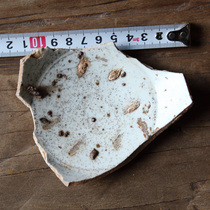 Old porcelain identification specimens Five generations of white porcelain secret color porcelain sample specimens white glaze porcelain old porcelain pieces