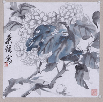 Freehand flower and bird painting vines flower and bird ink painting Academy of art students Chinese painting exercises a flat foot bucket