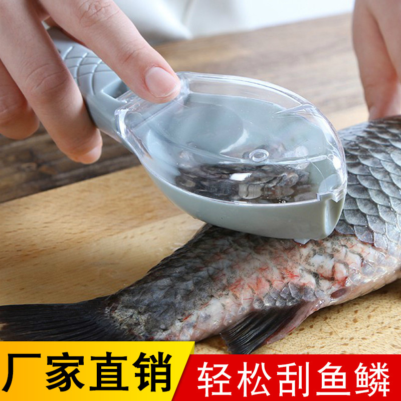 Scraping Scale Household with fish killing tool manually to wash fish scales brush brush scratch knife artifact