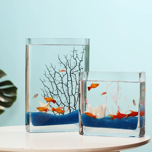 Золотая рыба танк гостиная маленькая квадратная интегральная стакан творческий творческий настольный настольный настольный настольный компьютер.