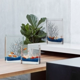 Золотая рыба танк гостиная маленькая квадратная интегральная стакан творческий творческий настольный настольный настольный настольный компьютер.