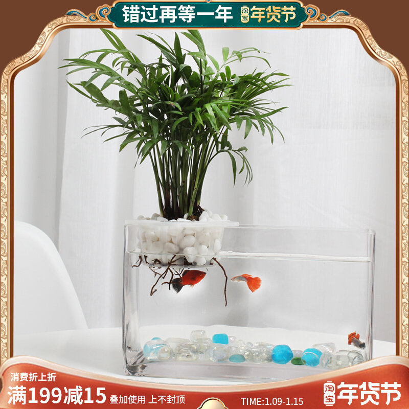 Rectangular glass fish tank creative transparent small aquarium household desktop plant hydroponic goldfish tank