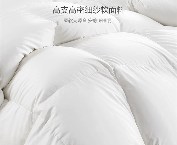 Chăn bông satin là vỏ áp dụng chống khoan xuống phụ trách chăn bông từ bán thành lót nội thất 80 Li - Quilt Covers chăn lông