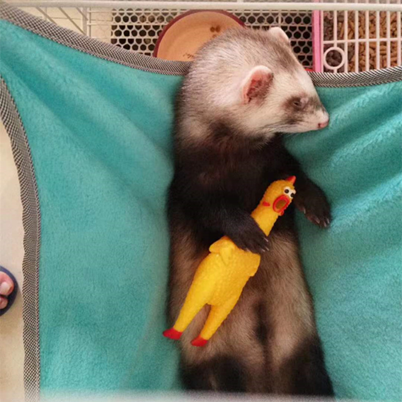 Pet mink toy ball ferret pet mink toy voice oh oh chicken ferret mouse toy