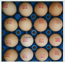 Six-nozzle tray special inkjet printer egg inkjet code red egg inkjet code festive egg