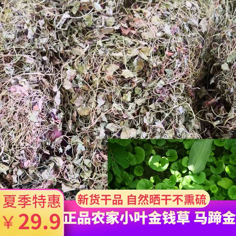 Natural Horseshoe gold leaflet money grass dried Chinese Herbal medicine 500g money grass tea fish front grass dissolved stone grass