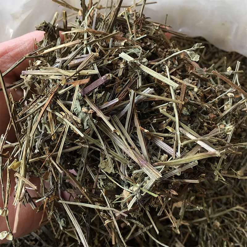 New Goods Dry Pint Half Branch Lotus Half Lotus And Head Grass Tetragonal Branches Grass Medicinal Herbs For Another Iron Leaves