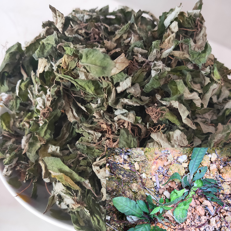 Chaoshan white back paparazzi Peacao Chinese herbal medicine white back grass staying up all night Deep mountain herbs farmhouse Self-drying products