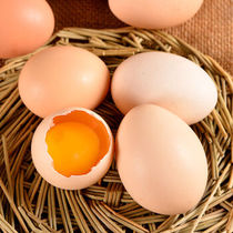 Authentic earthen eggs forests free-range fresh pure rural self-raised grass eggs firewood eggs 60 primary eggs