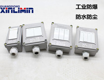 Explosion-proof wall switch 220V 10A surface mounted concealed 86 type single open double open triple open industrial lighting switch