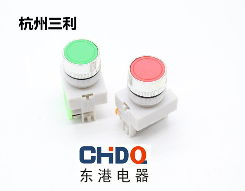 Hangzhou Sanli Self-Reset Switch LAY37-11BN (Y090) Flat Head Button Without Lock 2 2 M M