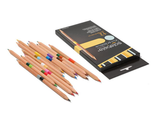 E84 old Meiwon DAN environmentally friendly material log 24 color double head fill color pencil colored pencil