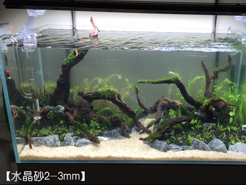 水晶砂魚缸底砂造景沙水草砂黃白色河沙簡單懶人草缸水陸缸底砂 水晶砂魚缸底砂造景沙水草砂黃白色河沙簡單懶人草缸水陸缸底砂