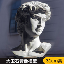 Resin plaster figure 31cm hollow plaster sketch figure art plaster head sketch portrait David