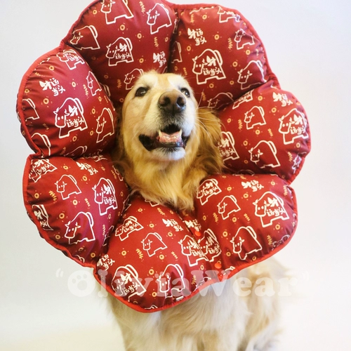 Мягкий клейкий и клейкий Элизабет Круг Новый Продукт Золотой ретривер Тедди Круг Круга против списания анти -подчеркивающих животных продуктов