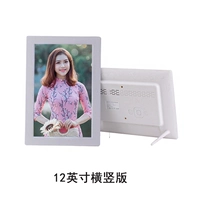 12 -INCH Полная перспектива (IPS) без карты