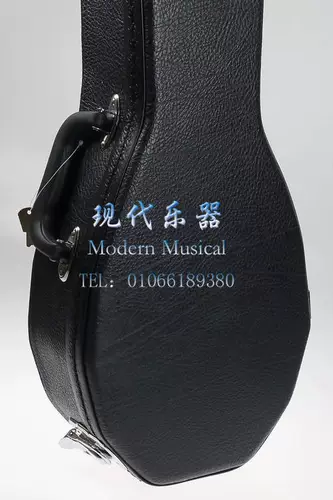 Современный музыкальный инструмент черный деревян