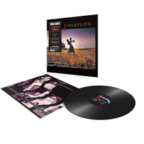 Will be to vinyl Pink FloydA Collection Of Great Dance Songs LP record