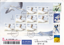 2018-22 Dayan small version of Poyang Lake Migratory Bird Reserve in situ on the first day of the postage Nanchang is the earliest