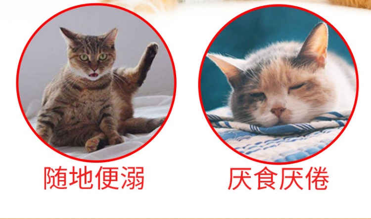 Thuốc ức chế đặc biệt thuốc nam 猫 rus - Cat / Dog Health bổ sung cho mèo con uống sữa gì