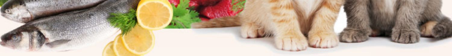 Lantes hạ cánh 喵 lysine mèo ammonia mèo hắt hơi mũi mèo nước mắt mèo - Cat / Dog Health bổ sung mèo uống sữa gì