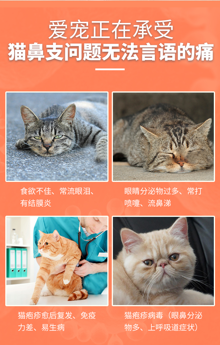 RedDog Red Dog Lysine 120g Lysine bổ sung Giảm đau cho mèo Chi nhánh nước mắt Cat Kem dinh dưỡng đặc biệt - Cat / Dog Health bổ sung Sữa cho chó lớn