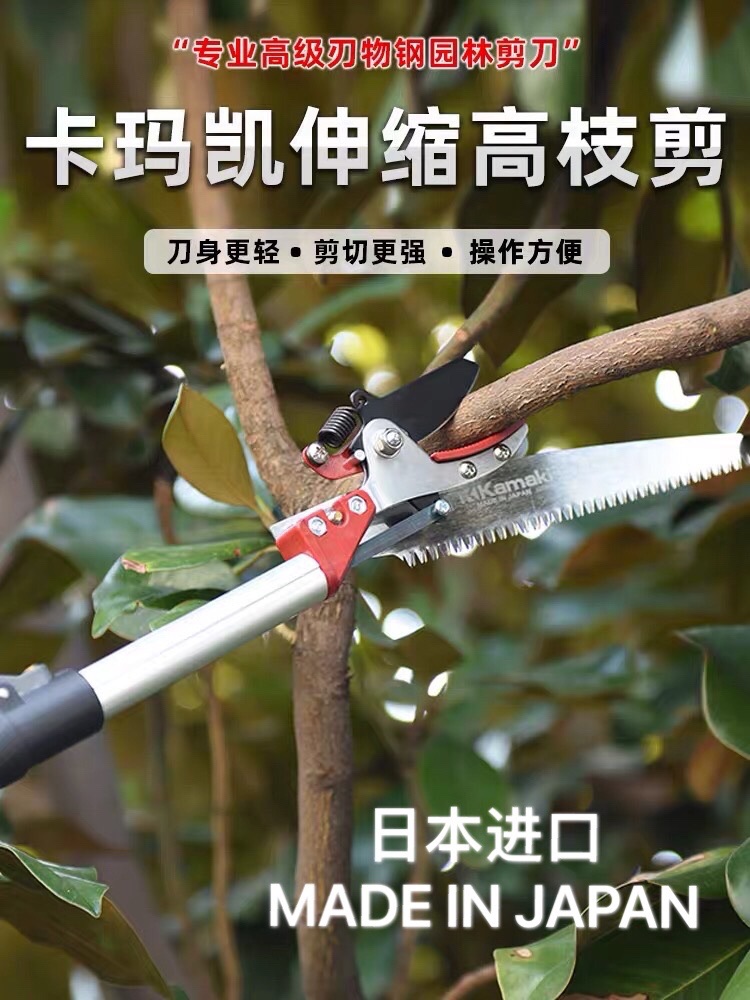Japan Import Kamakei Branch Pruned Branches Saw garden Gardening Fruit Tree Saw Flex lever Long handle High branch Scissors Saw