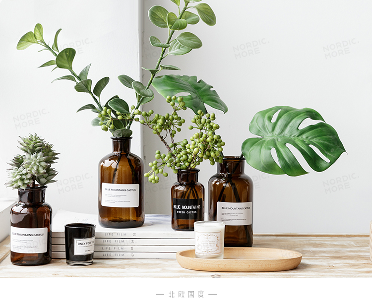 Đất nước Bắc Âu Davyd dược sĩ thủy tinh nhỏ miệng bình nhãn nhỏ chai nhỏ màu nâu nhỏ đồ trang trí tươi - Trang trí nội thất kệ dcor phòng ngủ