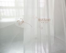 HTS011 bridal veil classic fresh embroidery simple small flower pattern hundred Net red Photo Veil