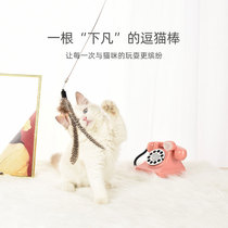 Pet Supplies Wire Feather Teasing Cat Stick Kitty Toy Interactive Training Pet Toy Fishing Cat Rod Manufacturer Direct