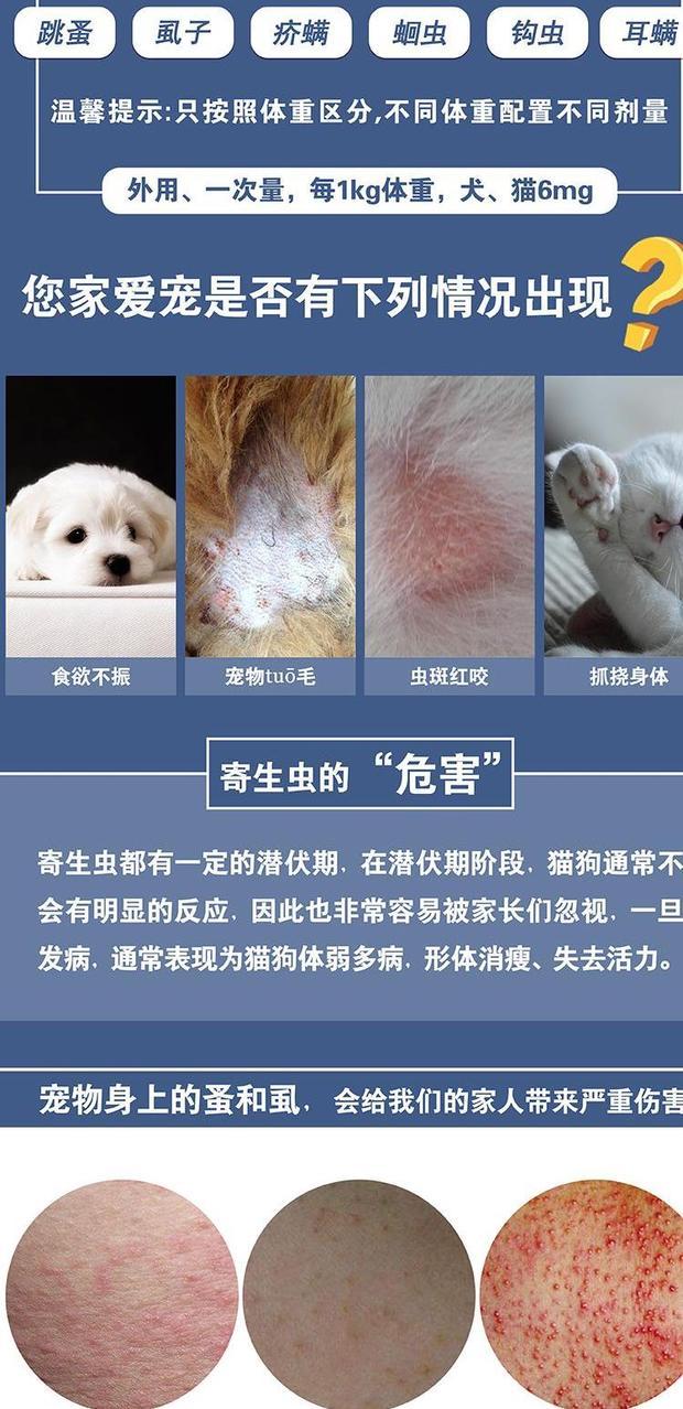 Thú cưng lớn yêu mèo với côn trùng và giọt trong cơ thể và in vitro, mèo, điếc, in vitro, bọ chét, độc thân - Cat / Dog Medical Supplies Dụng cụ phẫu thuật thú y