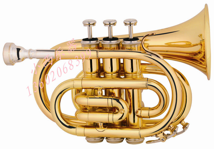 The palm number (modeled on a Bahamian model) Bb tune