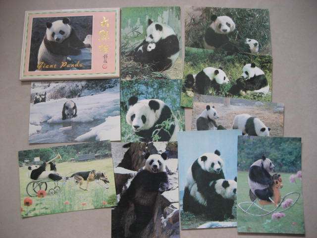 1989 Chinese painting Panda postcard postcard 10 full