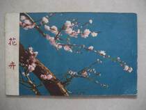 1960 Foreign edition of the flower book style postcard 12 Full peony