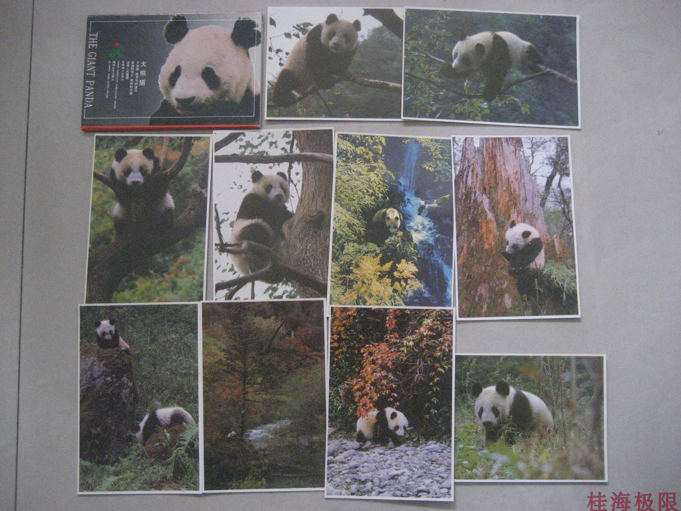 1990 China Forestry Edition Giant Panda Postcards 10 National Parks
