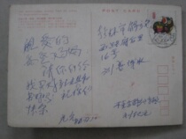 T80 Zodiac Pig Real Send Postcard 1