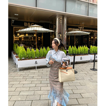 NORA (Limited Time Discount) Lace Spliced Shirt Dress Spring 2022 Female Temperament High Waist A- line Dress