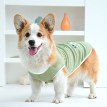 одежда для собак оптом фото
