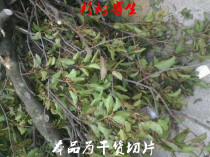 Wild Chinese herbal medicine Cedar Trees Parasitic Cedar Wood Parasitic Cedar Sustena New Goods Sundry Products 500 gr